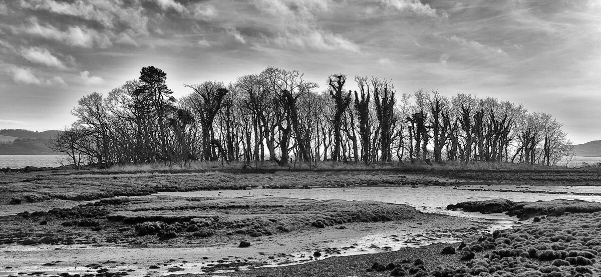 HC Inch Island silhouette by Dave Strother